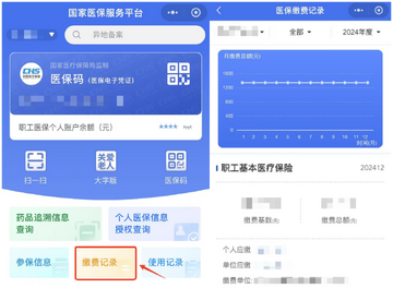 123�籣ҽ�����ֲ�ѯҽ���ɷѼ�¼����������