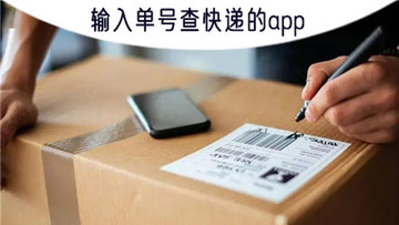 快递包裹物流查最新版 手机端单号输入自动识别快递公司