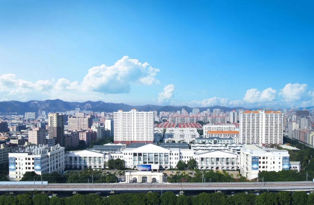东阳光门户 资讯更新频率和内容质量