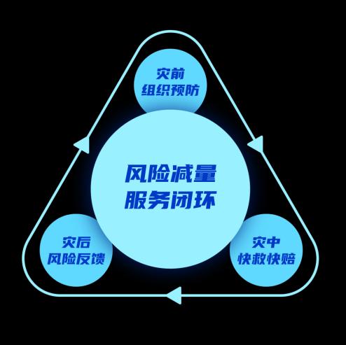 国网保险-电网资产 防灾防损和风险减量服务配图
