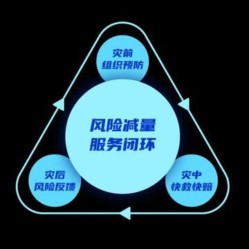 国网保险-电网资产 防灾防损和风险减量服务配图