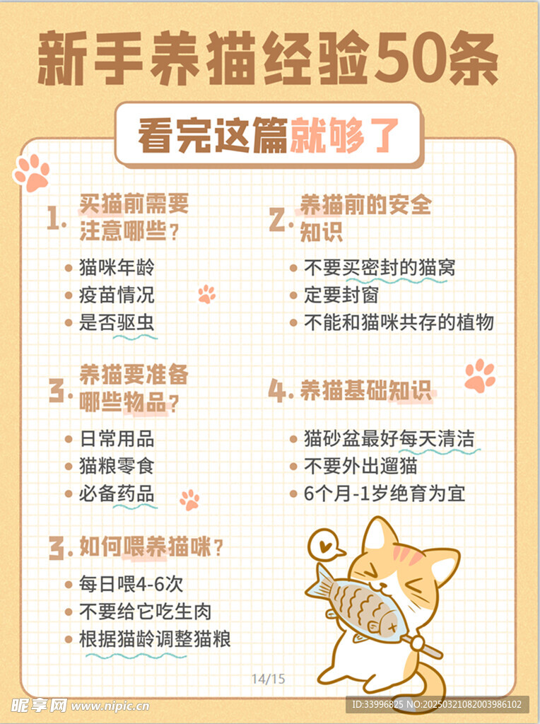 养宠记新手养猫心态调整经验总结配图