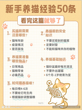 养宠记新手养猫心态调整经验总结配图