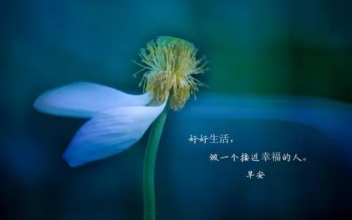 暖阳忘忧早安治愈短句配图