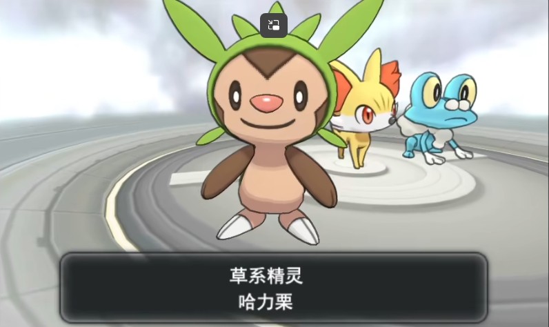 口袋妖怪XY