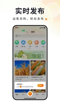 麦完小麦粮源信息发布填写技巧
