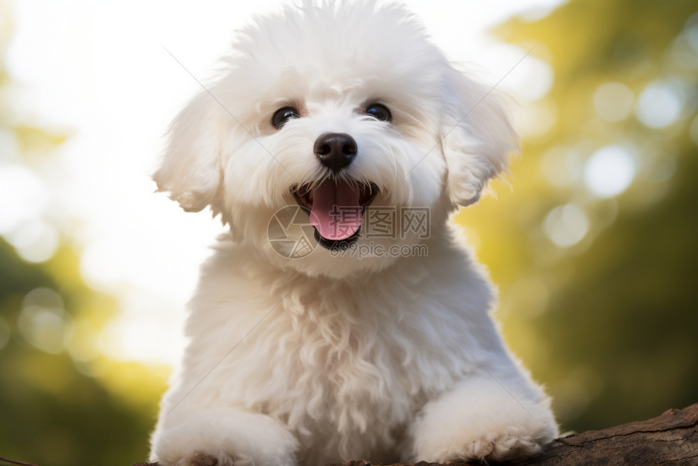 商店管家餐饮收银管理软件 收银机扫码点餐实操场景