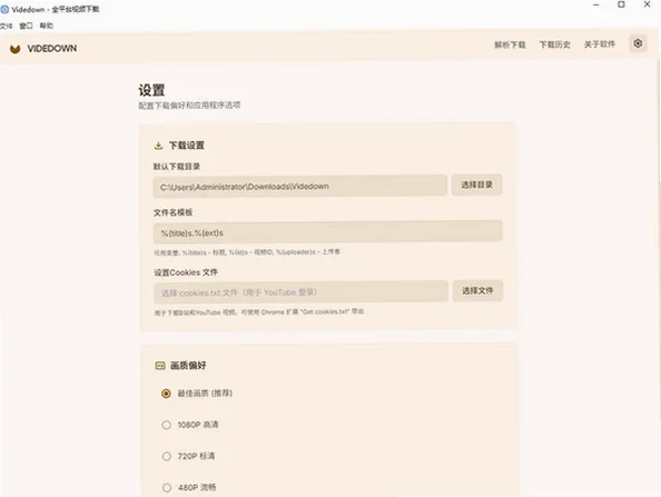 Videdown免费开源视频下载工具截图1