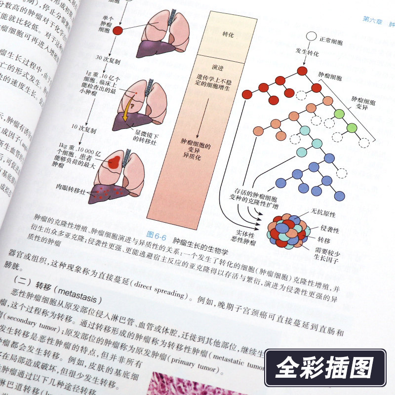 医学考研官方正版生化病理教材及习题集搭配图