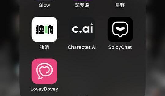Shiy时遇AI聊天软件最新版苹果手机安装完成界面