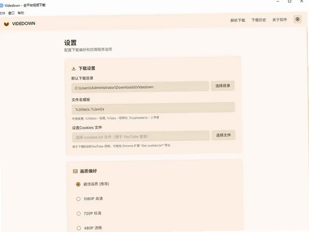 Videdown电脑版截图1