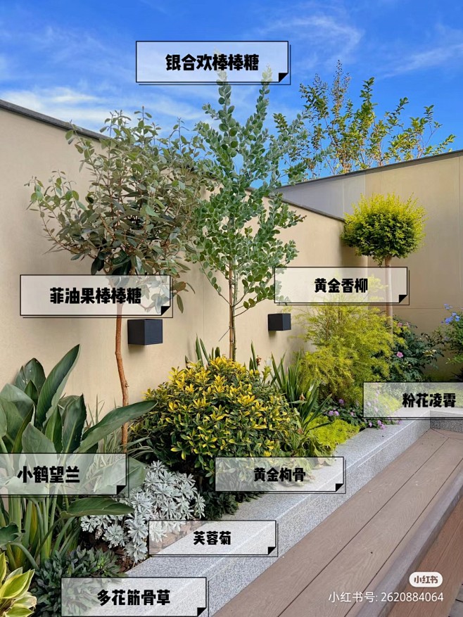 家庭桃源小院日常打理与植物搭配图