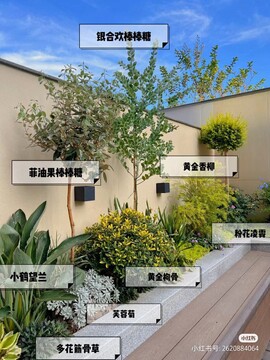 家庭桃源小院日常打理与植物搭配图