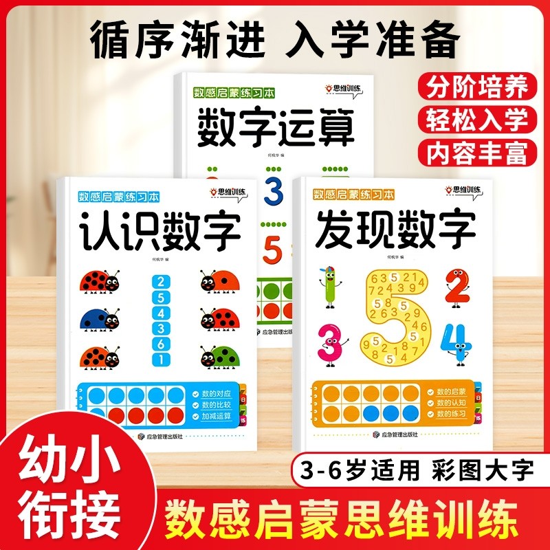 数感启蒙 幼儿在家数学思维训练配图