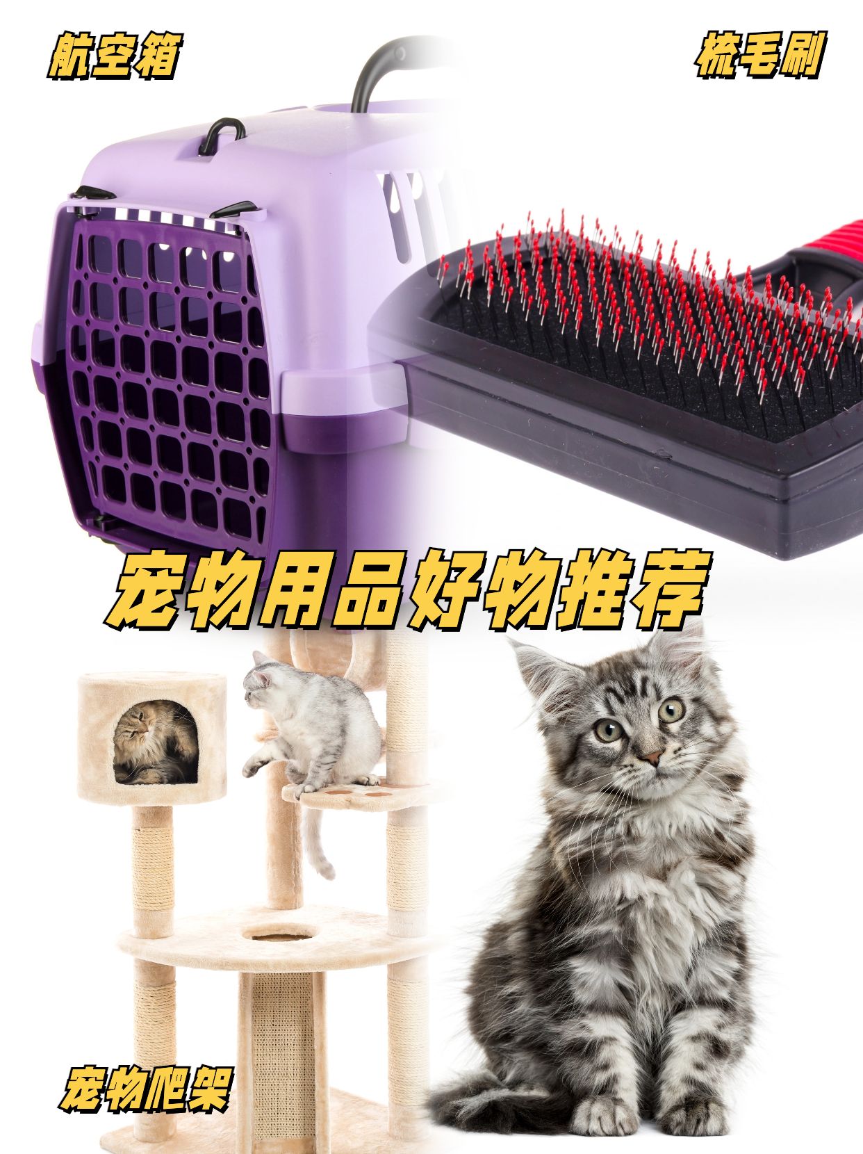 宠心缘宠物用品店好物合集
