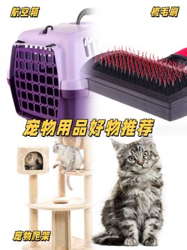 宠心缘宠物用品店好物合集