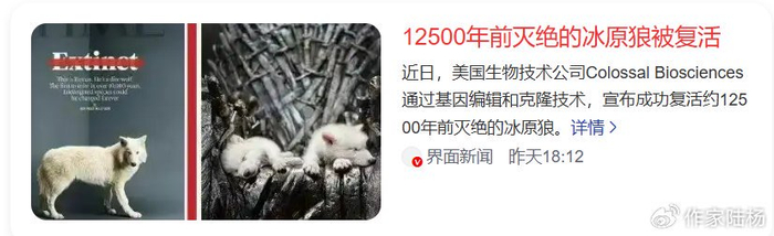 冰原狼 古生物 化石 灭绝原因 配图