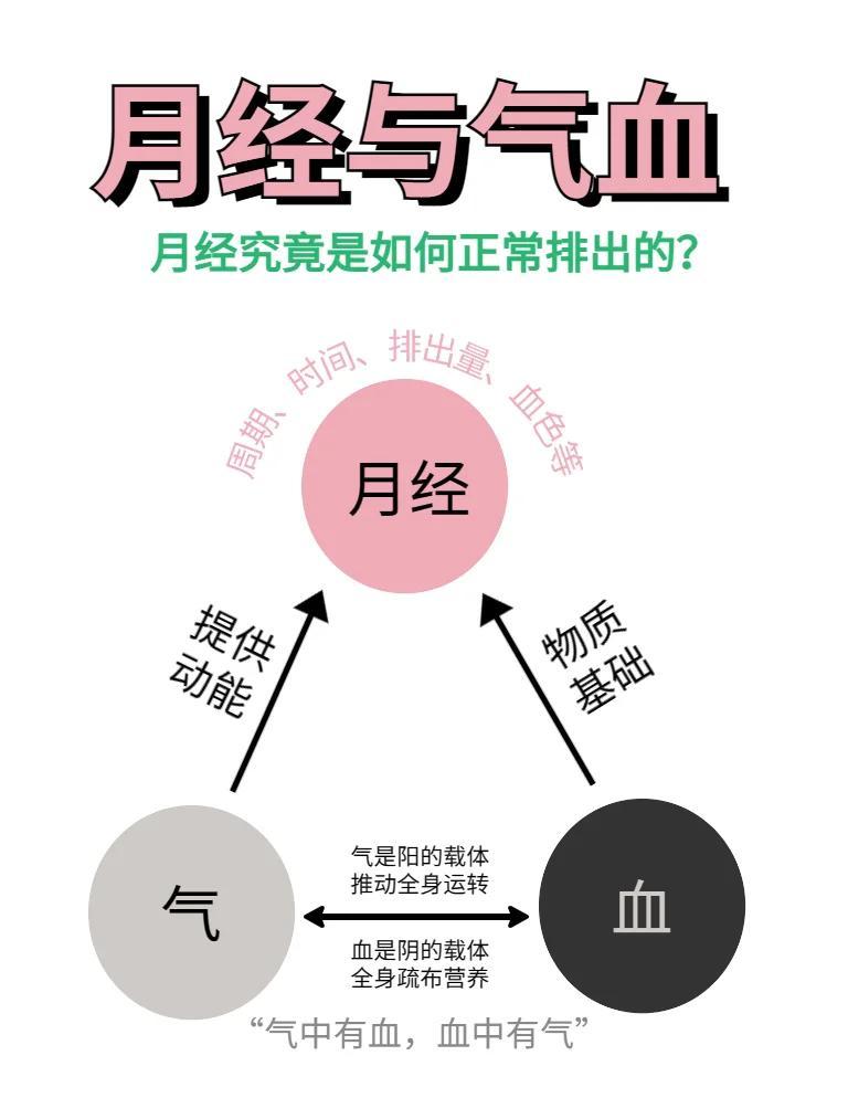 扁鹊医生科普气血不足对女性月经的影响