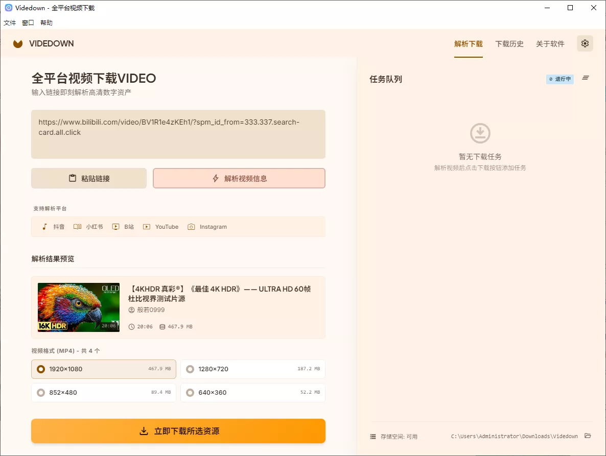 Videdown官方版下载安装最新版全流程配图 视频下载工具界面展示