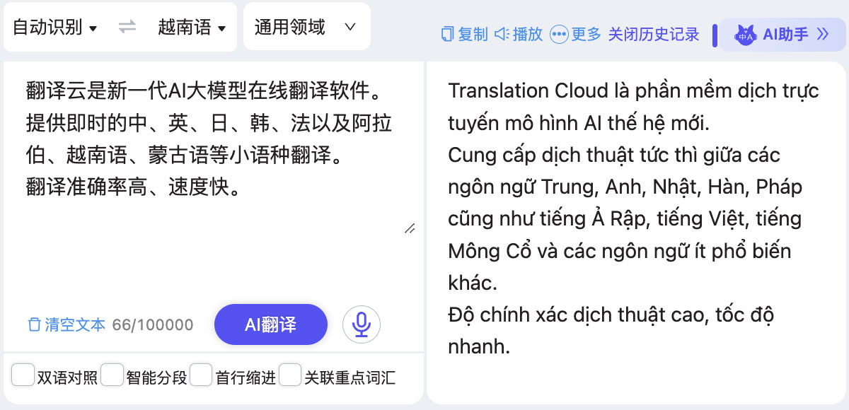 越南语翻译通 人工翻译平台与机翻效果对比