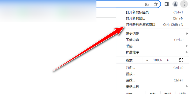 Guige无痕浏览器安装设置界面操作截图