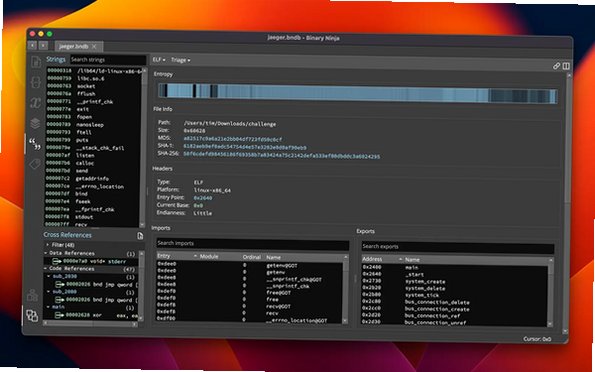 Binary Ninja Mac版 二进制逆向反编译分析工具截图0
