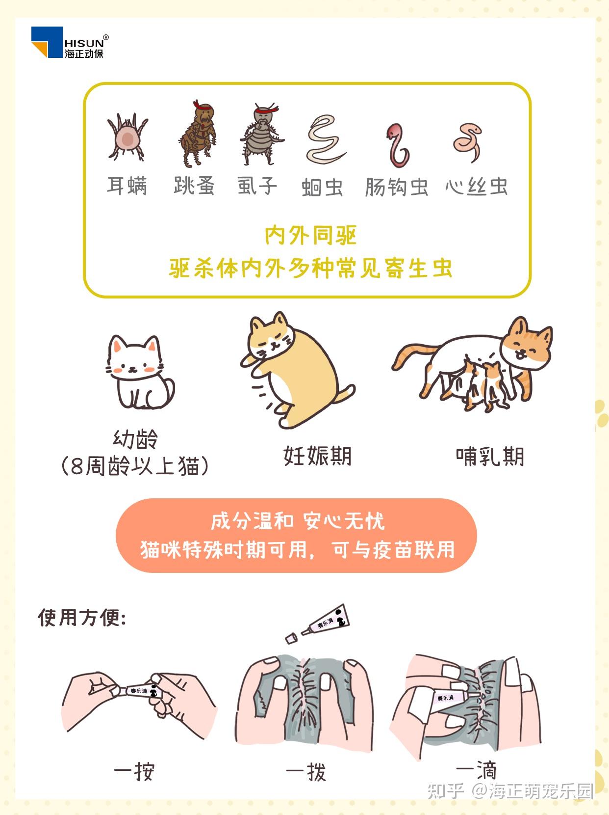 扑扑猫疫苗驱虫时间安排和注意事项配图