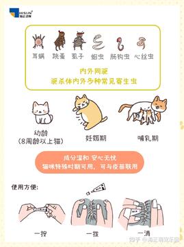 扑扑猫疫苗驱虫时间安排和注意事项配图