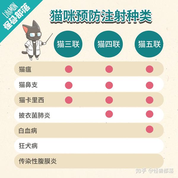 扑扑猫生病常见信号和就医判断配图