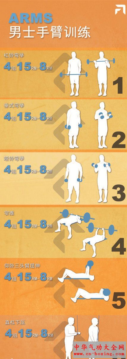 健身怪兽新手增肌训练计划整体安排与动作示范配图