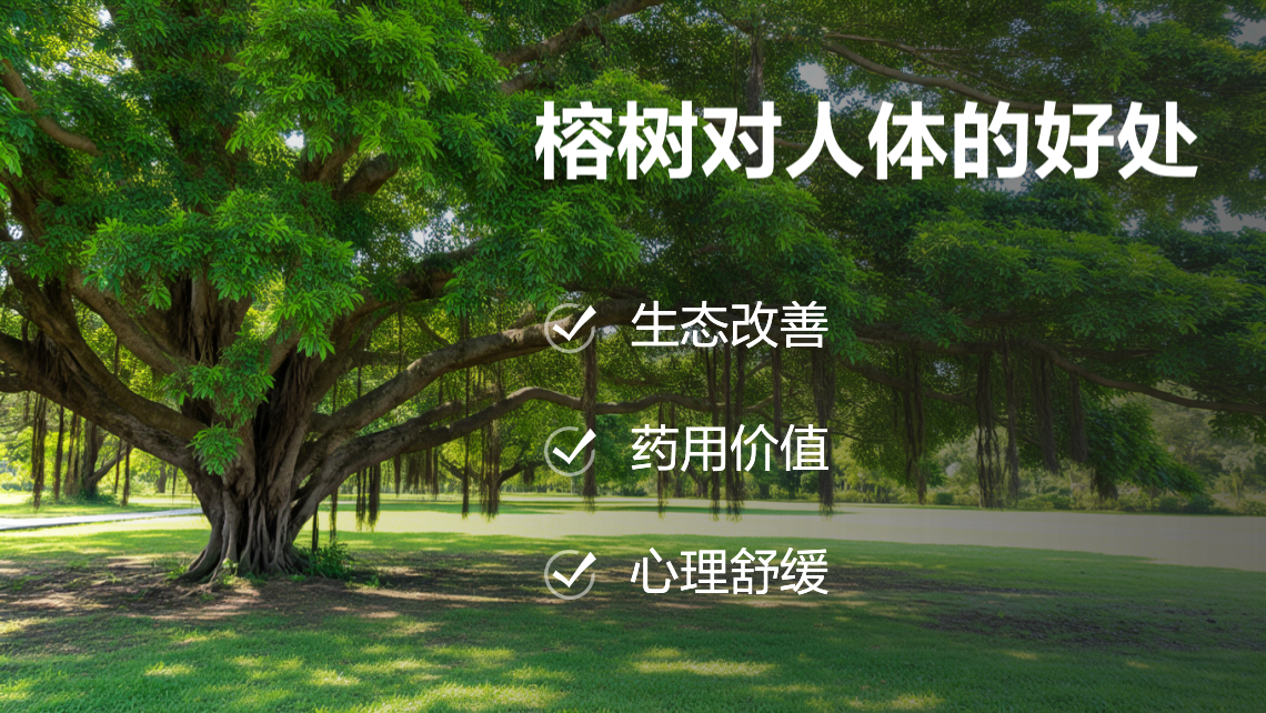 榕树熊健康-榕树熊 科学养生秘诀 普通人实用方法配图