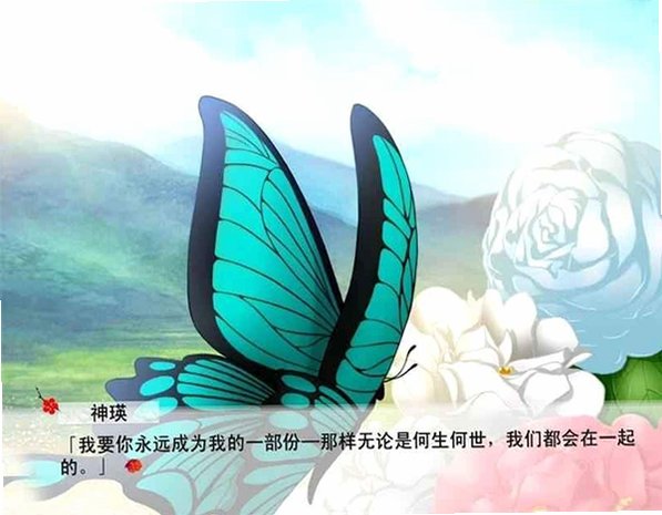 红楼梦林黛玉与北静王手机版安装包v1.0最新版截图1