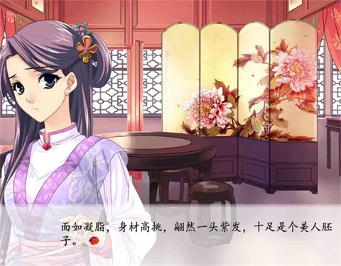 红楼梦林黛玉与北静王