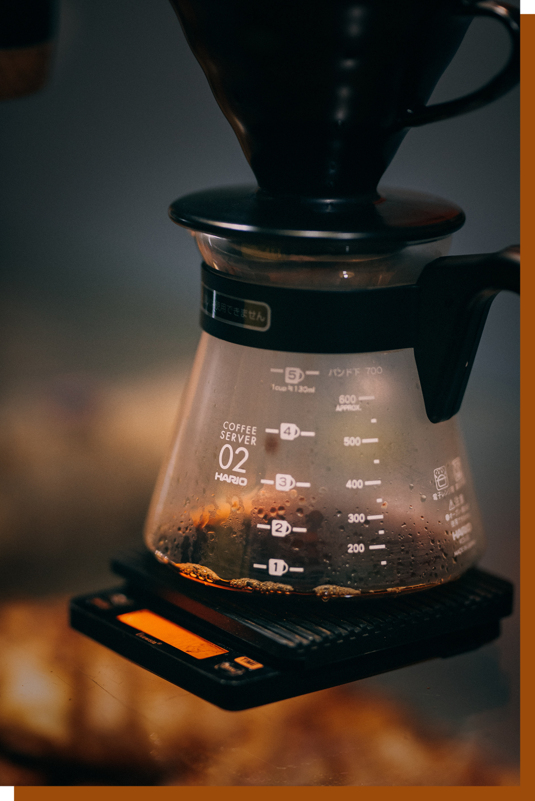 �ֳ忧�ȼ�����AlphaSunCoffeeScale ʹ��ָ�� �������ý���
