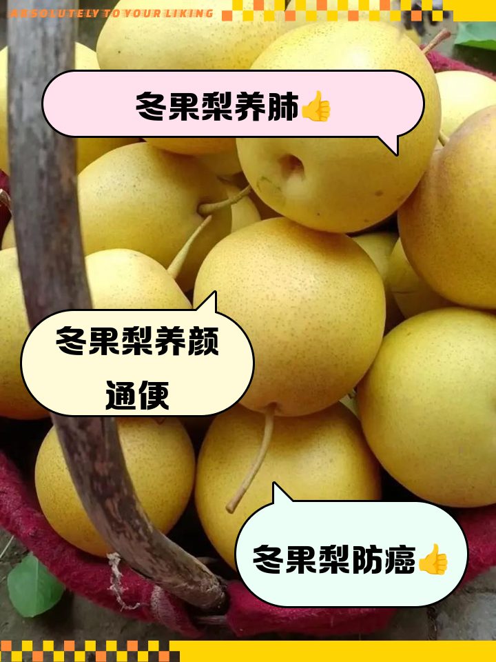 冬梨最新版功能界面截图展示