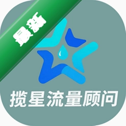 揽星流量顾问