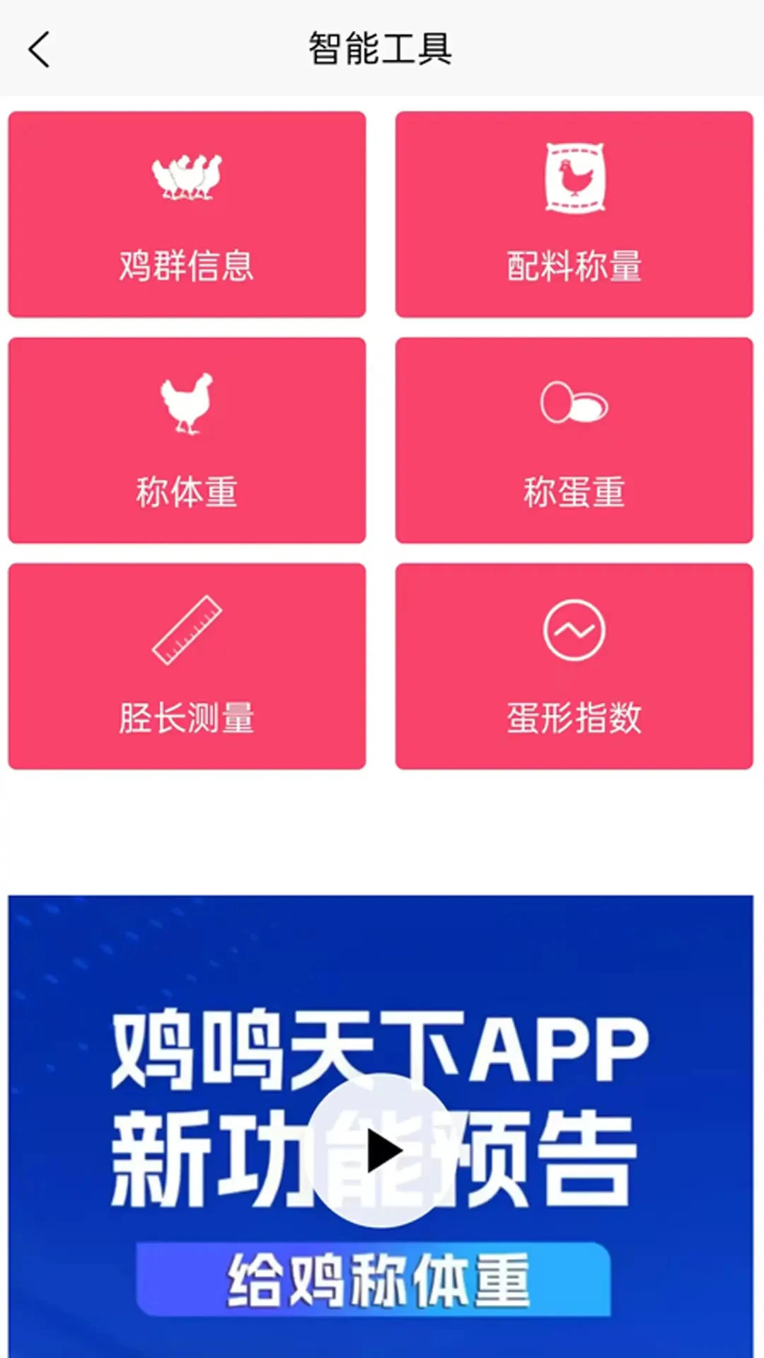 鸡鸣天下1.2.1 官方版截图1