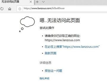 LanzouPlus�ٷ�����ʹ�������Ų�����