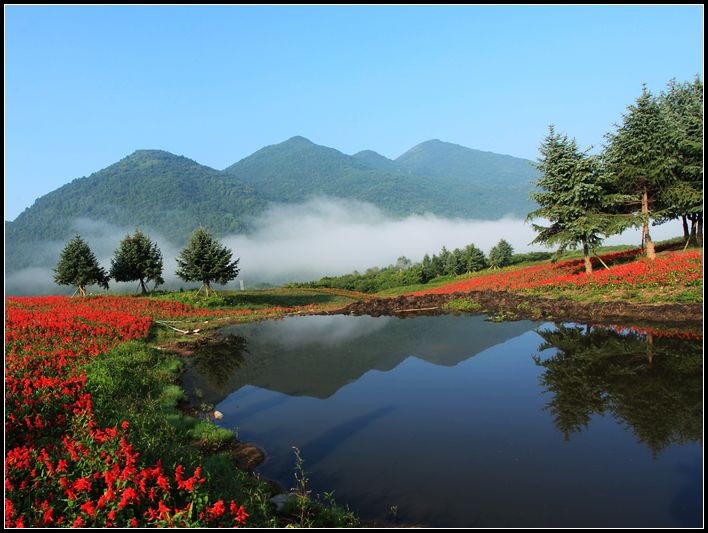 巫溪红池坝草原夏季避暑