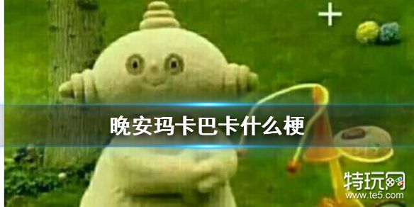 玛卡玛卡相似梗区别对比配图