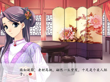 红楼梦林黛玉与北静王galgame安卓汉化手机版 游戏主界面剧情截图