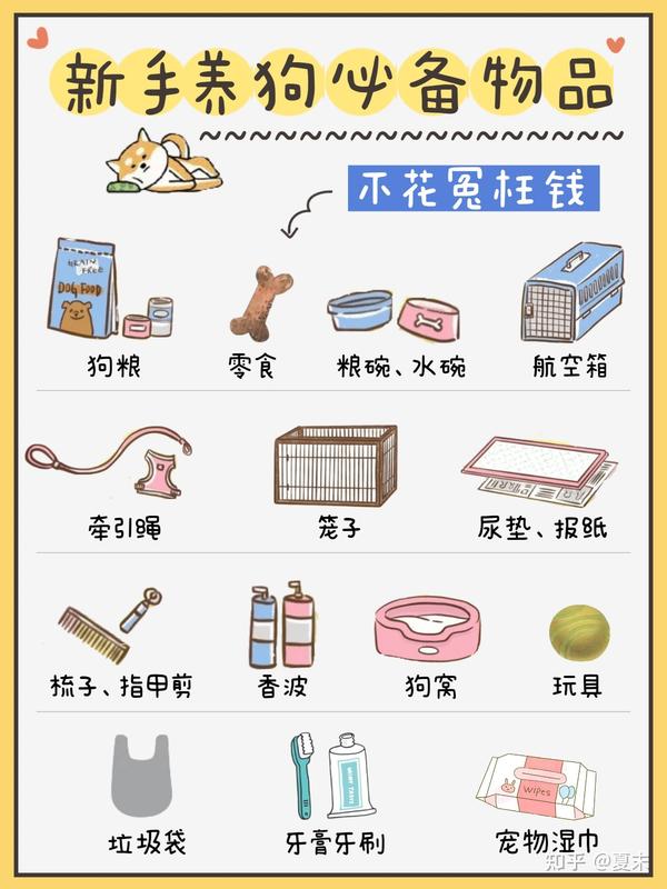 小狗报到第一天准备清单 新手接狗回家必备物品和注意事项