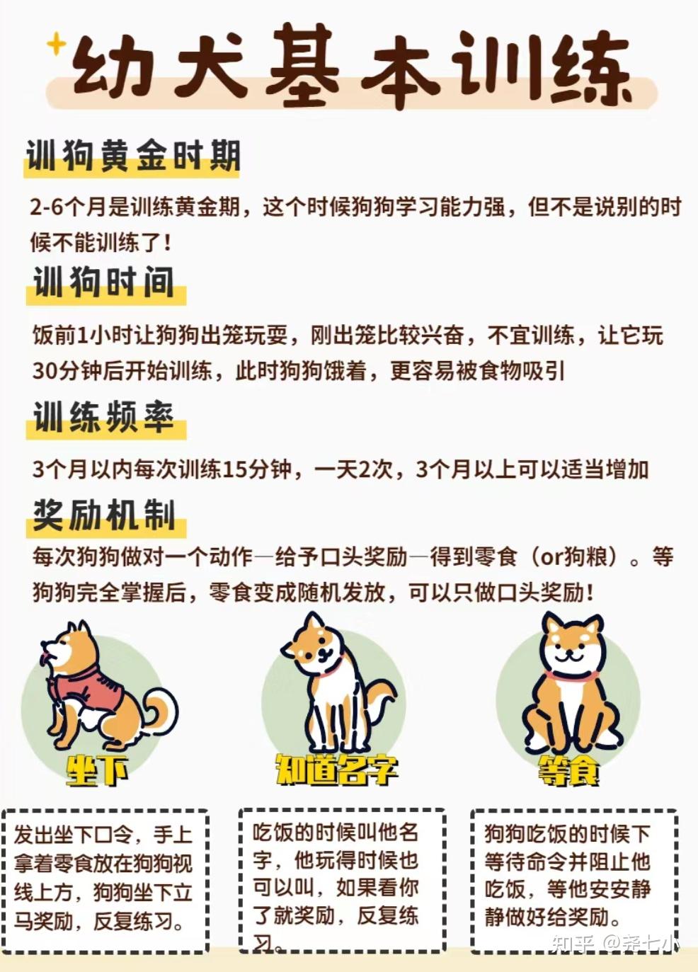 小狗报到第一天到家后如何让幼犬适应新环境 减少应激反应