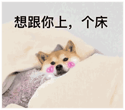 比丢表情包日常聊天问候撒娇卖萌场景合集