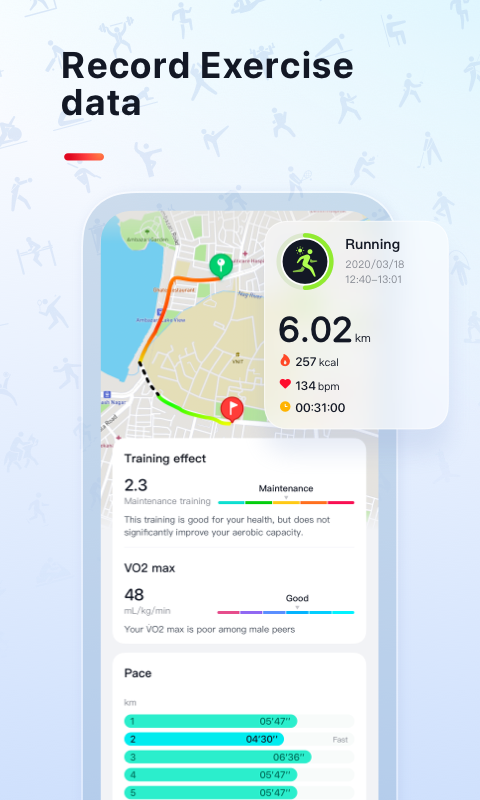 VeryFit2026���°����ذ�װ�̳�ȫ������ͼ