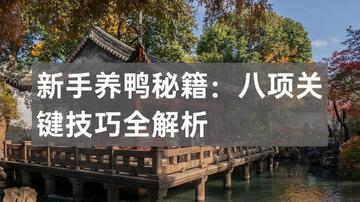 合个鸭子新手常见错误避坑指南