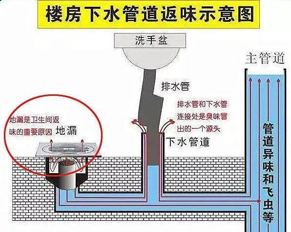 居家妙点最新版 下水道返味处理 卫生间地漏防虫小妙招
