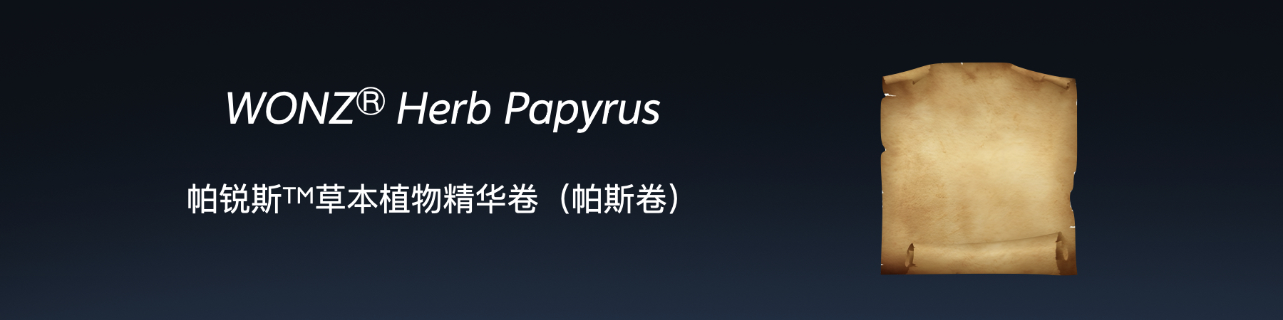 WONZ实战操作技巧演示图
