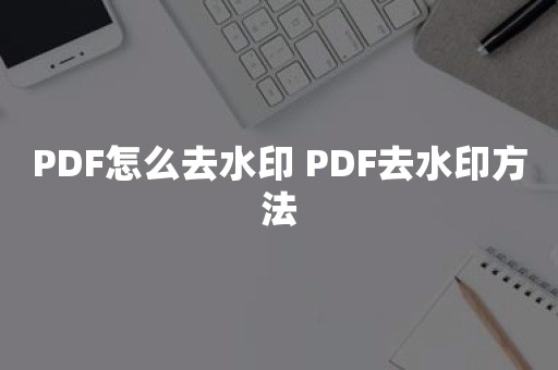 PDF水印添加去除工具绿色版 使用注意事项和常见报错解决方法配图