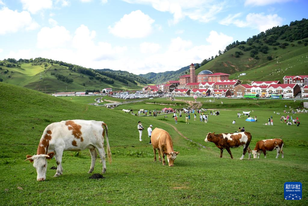 爱陇县关山草原周边游玩